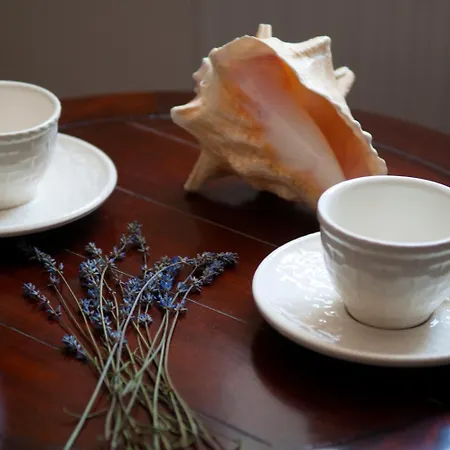 Pensión Babiccina Zahrada & Restaurant Průhonice